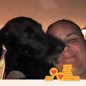 Meet your Posher, Bonnie